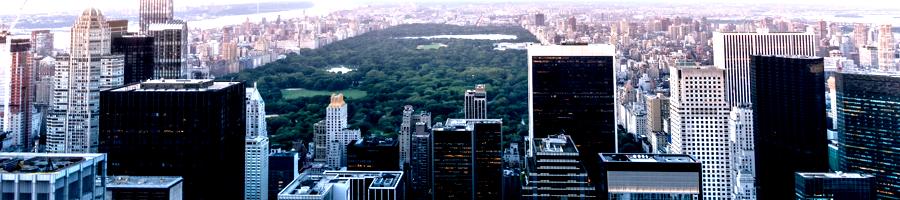 New York City: Central Park - Credit: mohit-singh-2Zyydg0lDhs-unsplash
