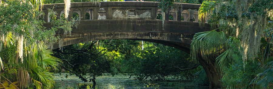 New Orleans: New Orleans City Park - Credit: neworleanscitypark.org