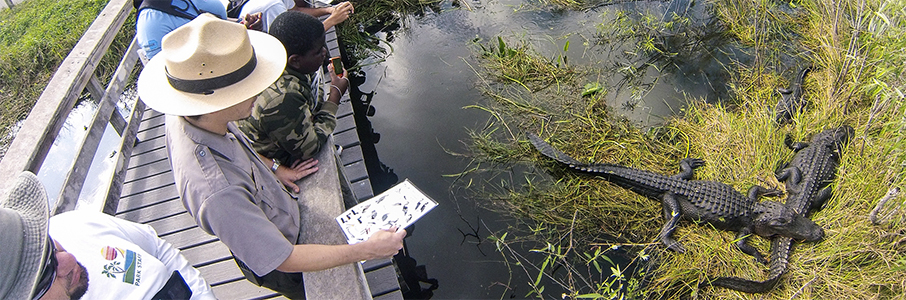 Miami: Everglades National Park - Credit: https://www.nps.gov/ever/learn/news/everglades-national-park-is-open.htm