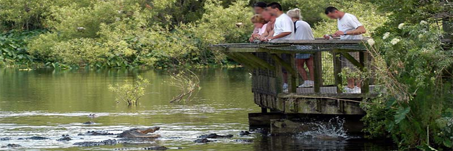 Orlando: Gatorland - Credit: gatorland.com