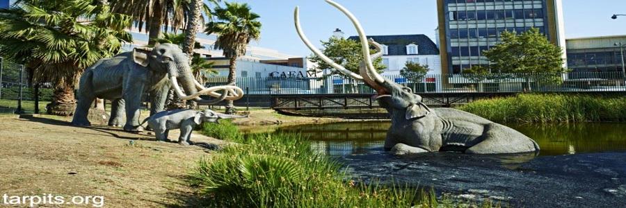 Los Angeles: La Brea Tar Pits - Credit: tarpits.org