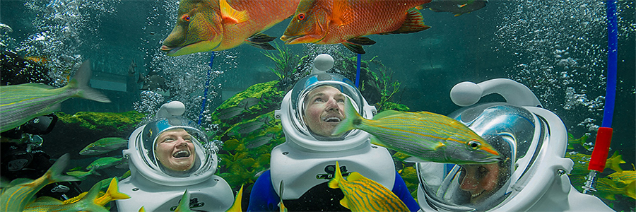 Miami: Miami Seaquarium - Credit: miamiseaquarium.com