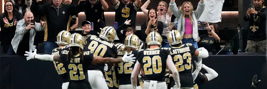 New Orleans: New Orleans Saints (NFL) - Credit: neworleanssaints.com